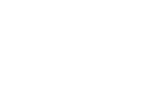 Sportvereniging DFS Burgum